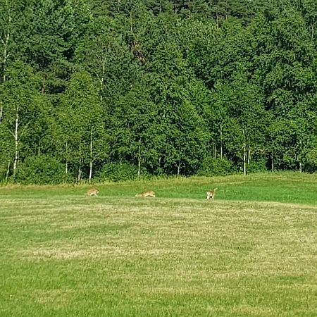 Gärdesgården Lillstugan Maramo Exteriör bild
