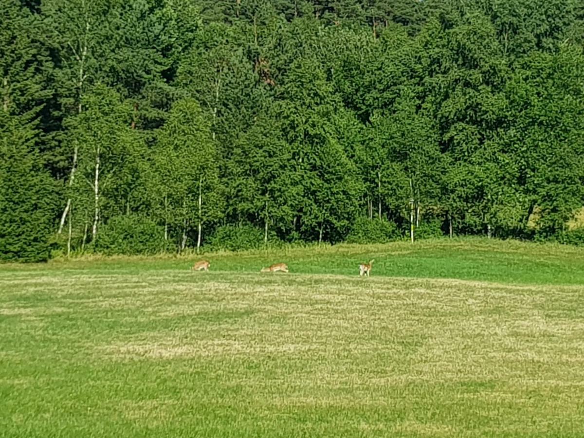 Gärdesgården Lillstugan Maramo Exteriör bild
